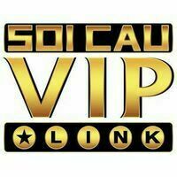 @soicaulovip's avatar