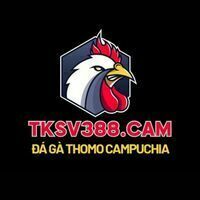 @tksv388cam's avatar
