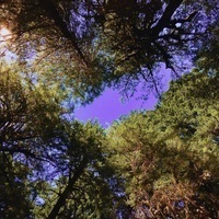 Missives from Samsara  Profile Photo