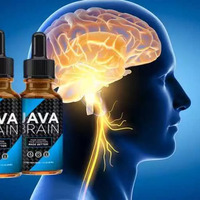 @buyjavabrain's avatar