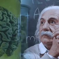 @brainfuelneuro's avatar