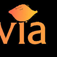 @alluviacityyg's avatar