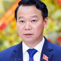 @truonghailong's avatar