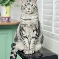 @dgreene196's avatar