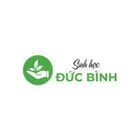 @chephamducbinh's avatar