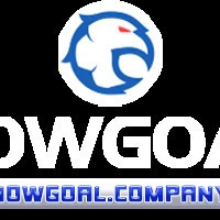 @nowgoalcompany's avatar