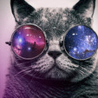 @BernadetteUkler's avatar