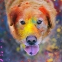 @BerthaHestel's avatar