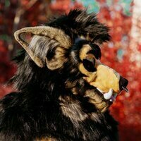 🛰️「stray signal」💫