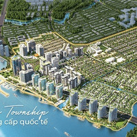 @bamboolandir's avatar