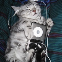 Mars Off Record logo