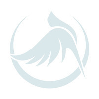 @chimcanhquytranvj's avatar