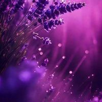 @EvaSavleeva's avatar