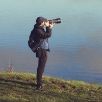 Light Collector Profile Photo