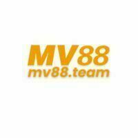 @mv88team1's avatar