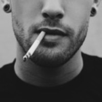 @AyselMalbek's avatar