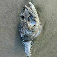 Autoes.top Profile Photo