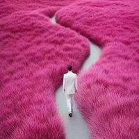 @DulceAllerdo's avatar