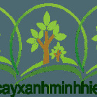 @cayxanhminhhieu's avatar