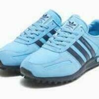 @Bluetrainers's avatar