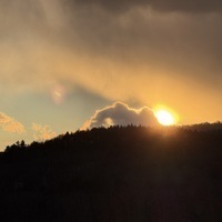 interstitial Profile Photo