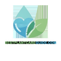 @bestplantcare's avatar