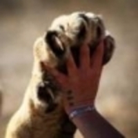 @CorneliaHapper's avatar