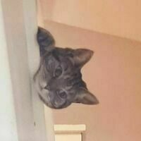 @amariese23's avatar