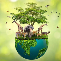 @biodiversity's avatar