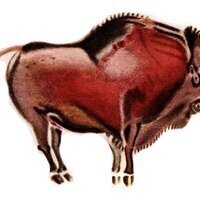 Dye Fewer Novice Bison homepage