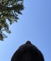 Fragments Profile Photo